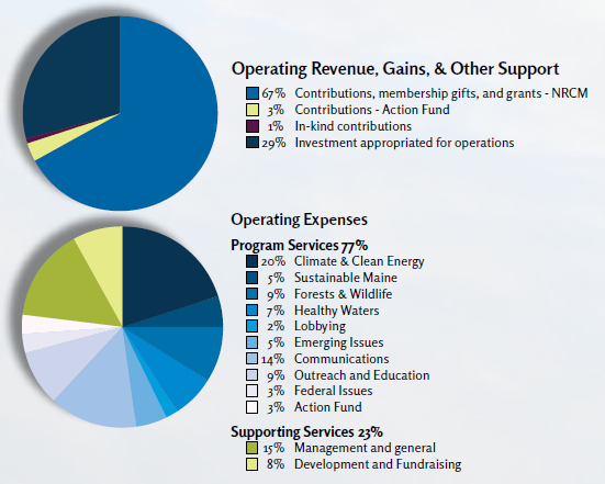 pie charts of financial info