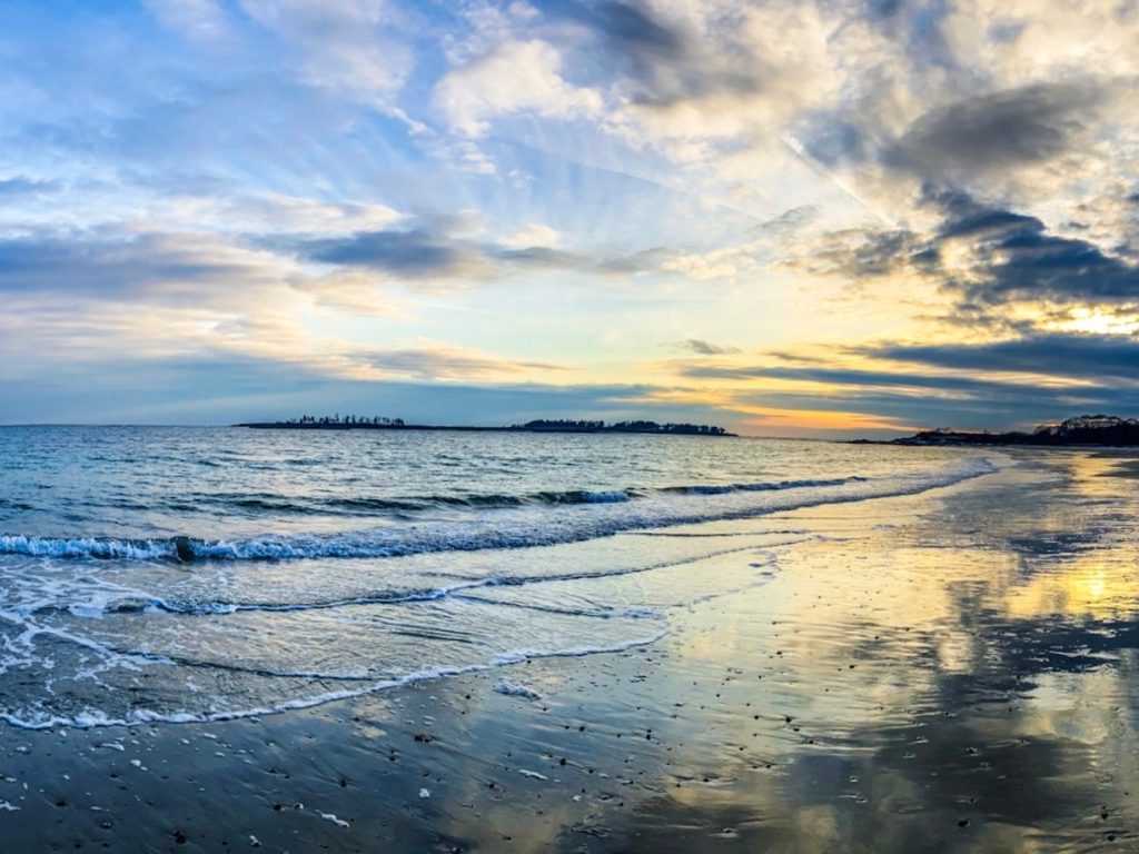 Kettle-Cove-feature-Magalis