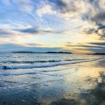 Kettle-Cove-feature-Magalis