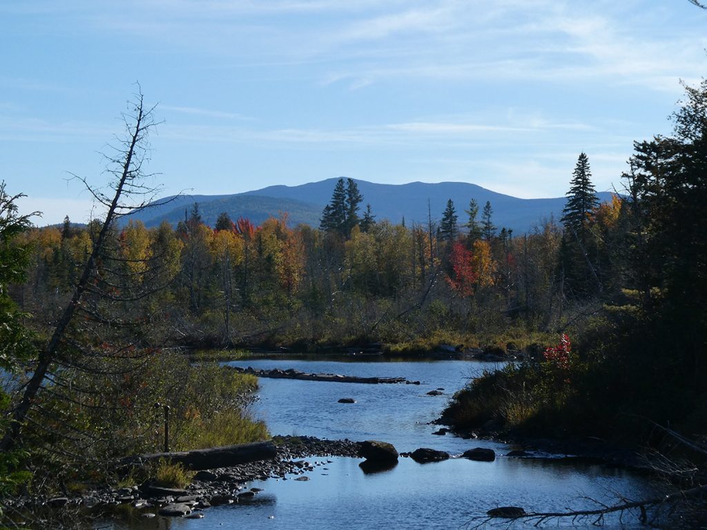 mountain and fall colors with water in foreground