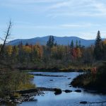 mountain and fall colors with water in foreground