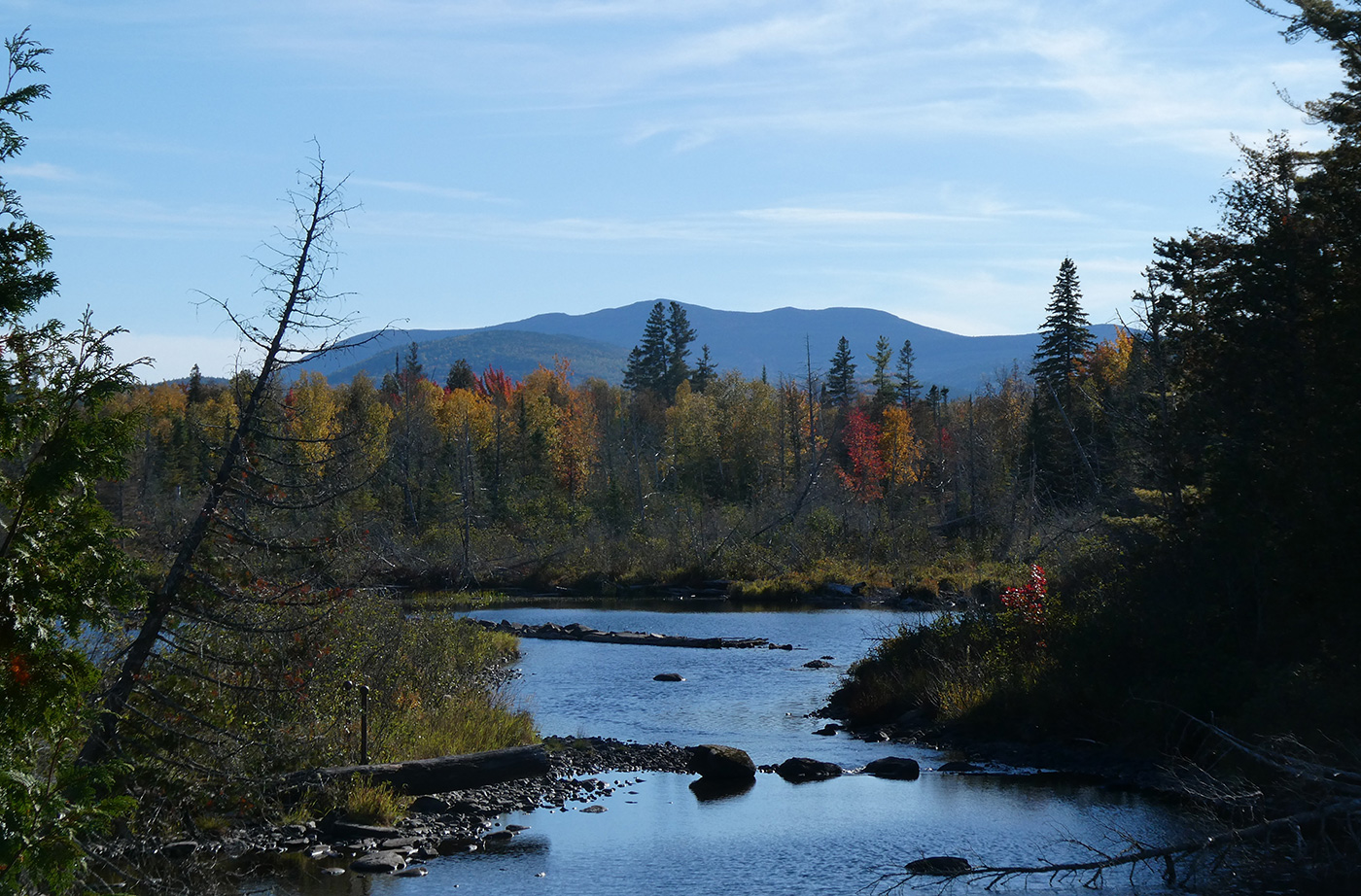 mountain and fall colors with water in foreground