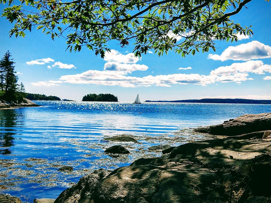Beautiful blue water with rock in foreground and sailboat and trees in background