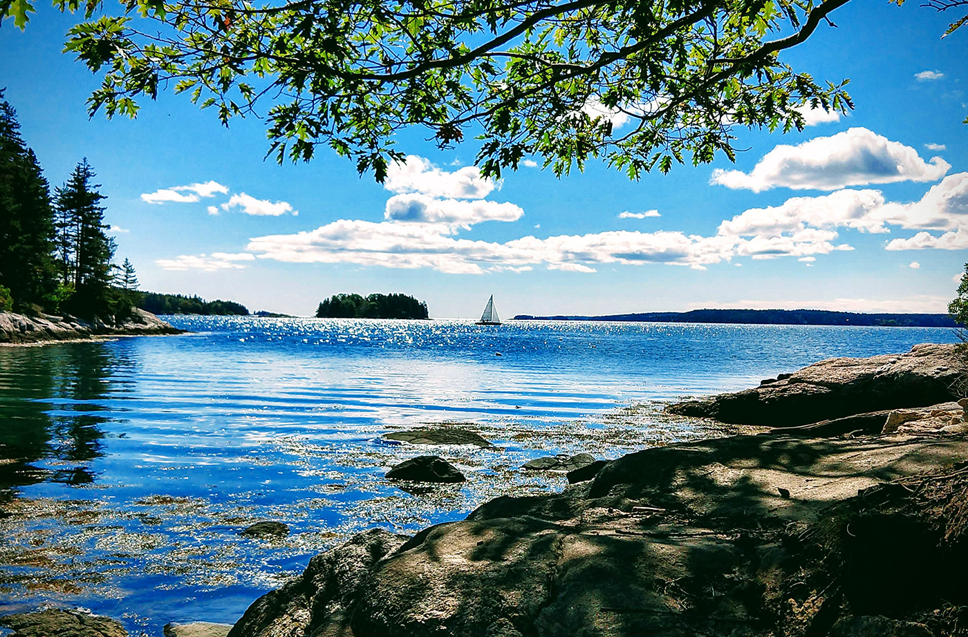 Beautiful blue water with rock in foreground and sailboat and trees in background