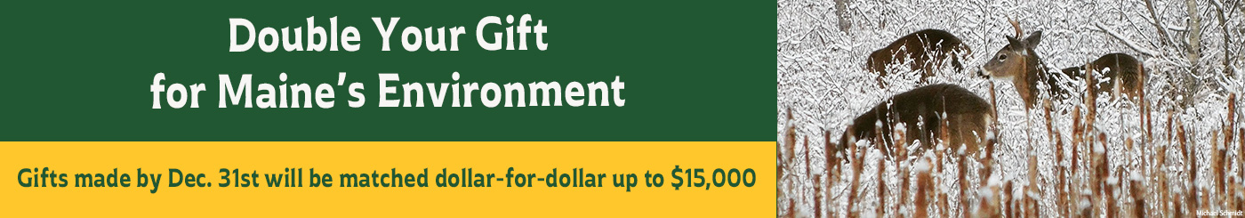 EOY-2025-banner-for-website