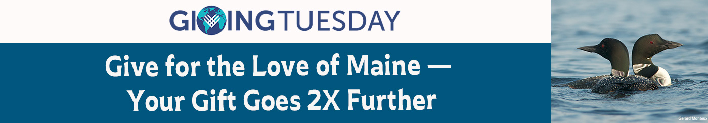 two loons and Giving Tuesday text