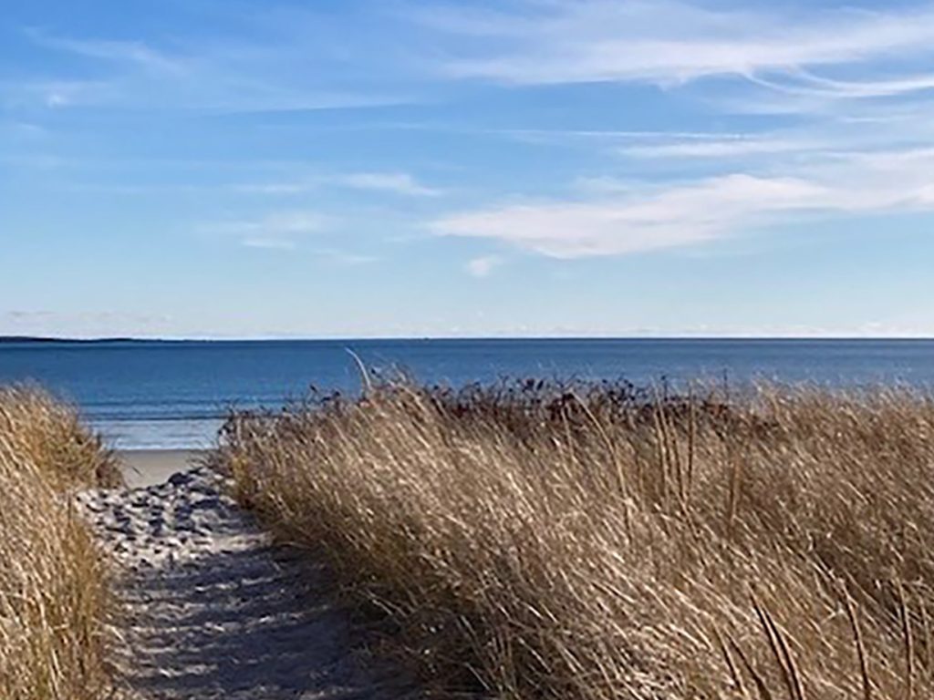 Pine-Point-Beach-banner
