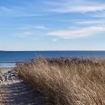 Pine-Point-Beach-banner