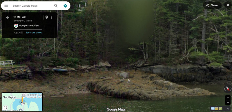 Bird sitting on seaweed-covered rocks next to water, with forests and picnic table in background