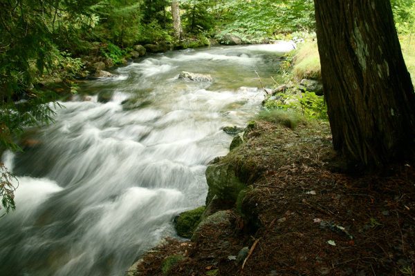 Water rushing down stream