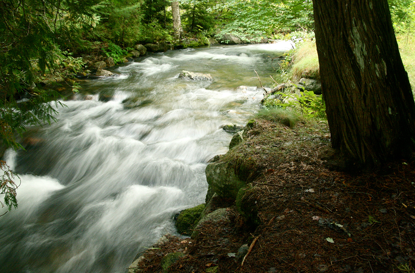 Water rushing down stream